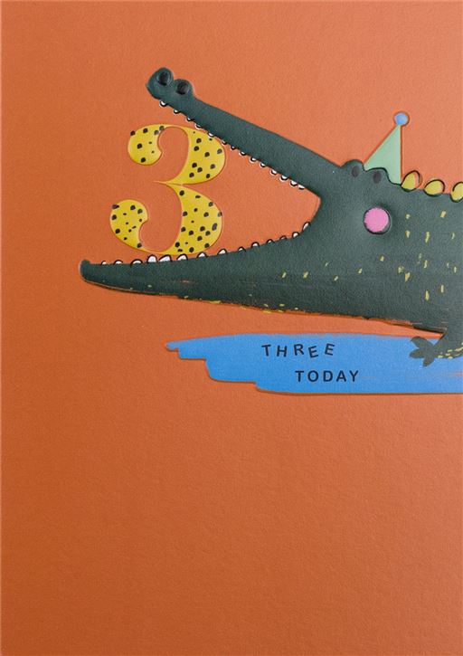 3RD BIRTHDAY CROCODILE