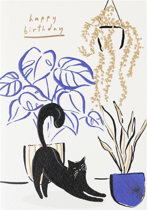 CAT AND PLANTS