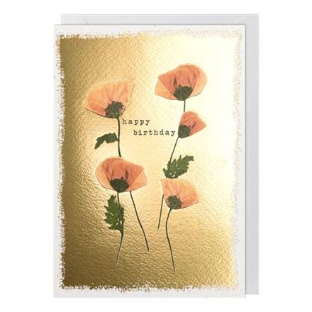 BIRTHDAY POPPIES